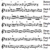 detail of a tune fakebook